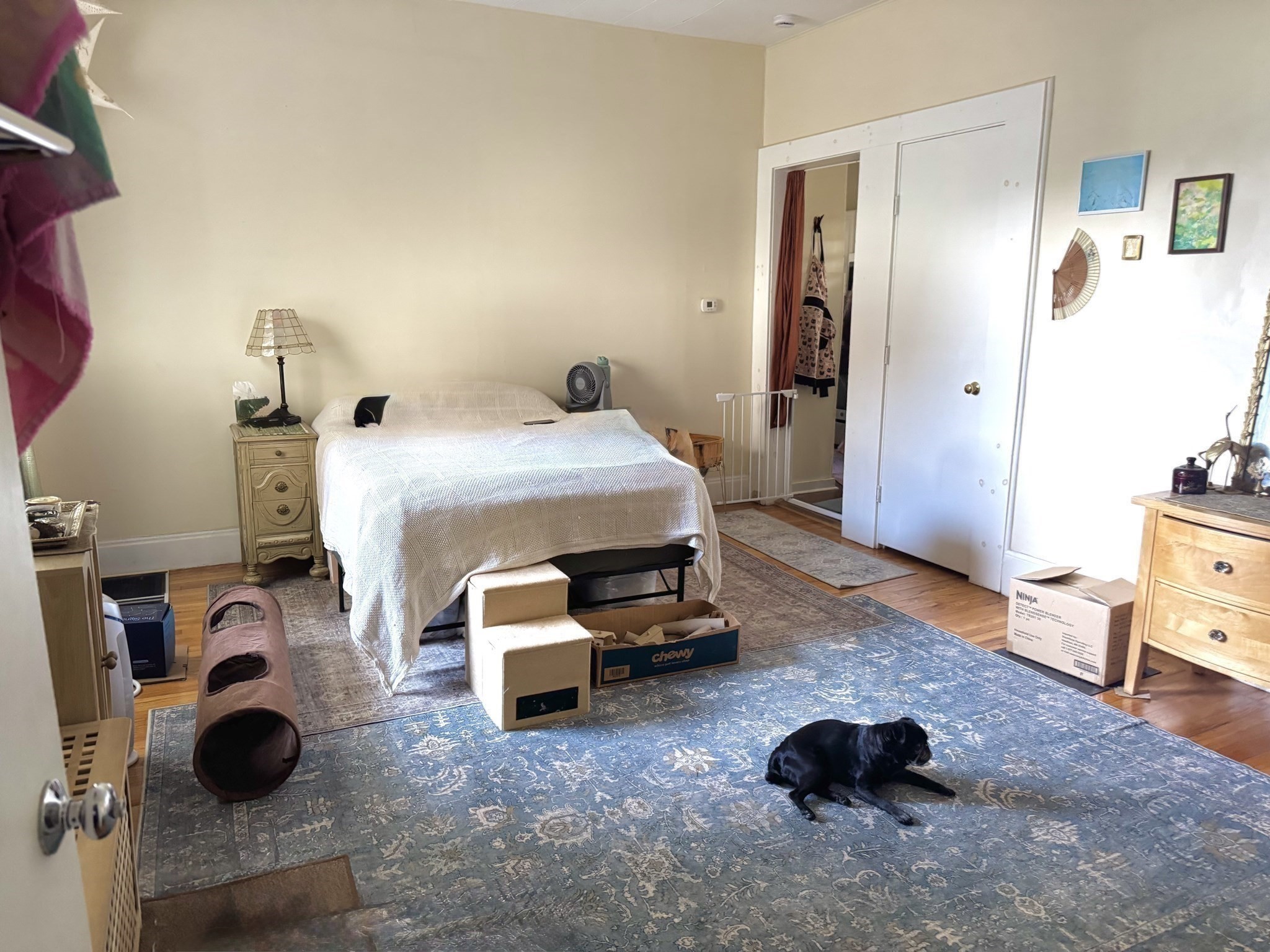 55 Northampton St Property Photo 4