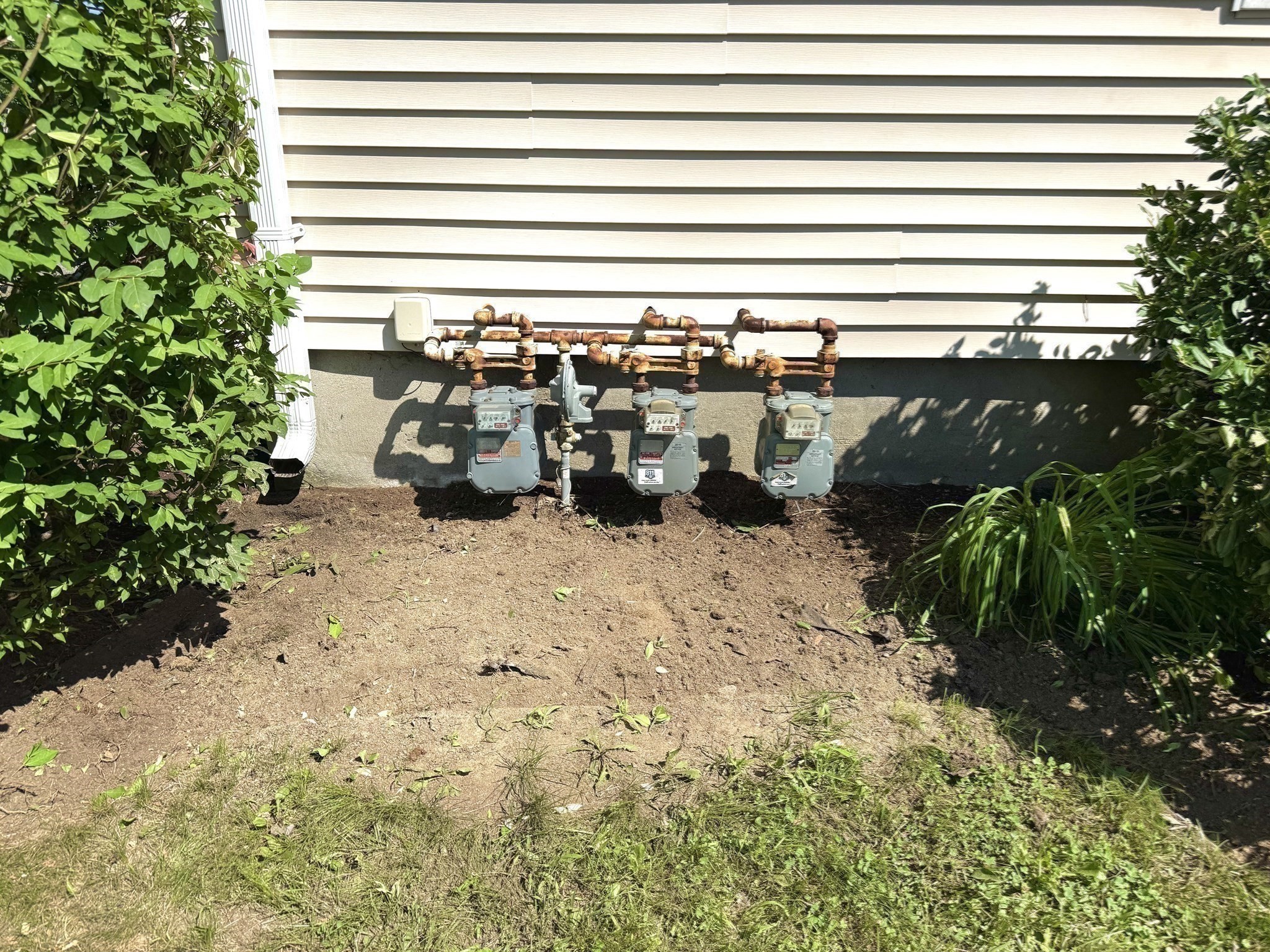 55 Northampton St Property Photo 39