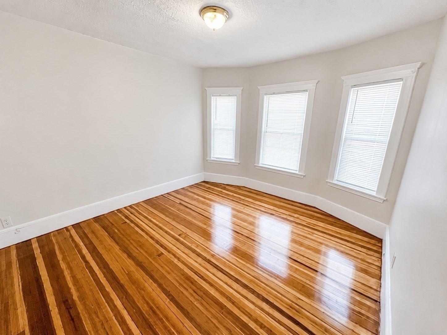 109 Capen St Property Photo 18