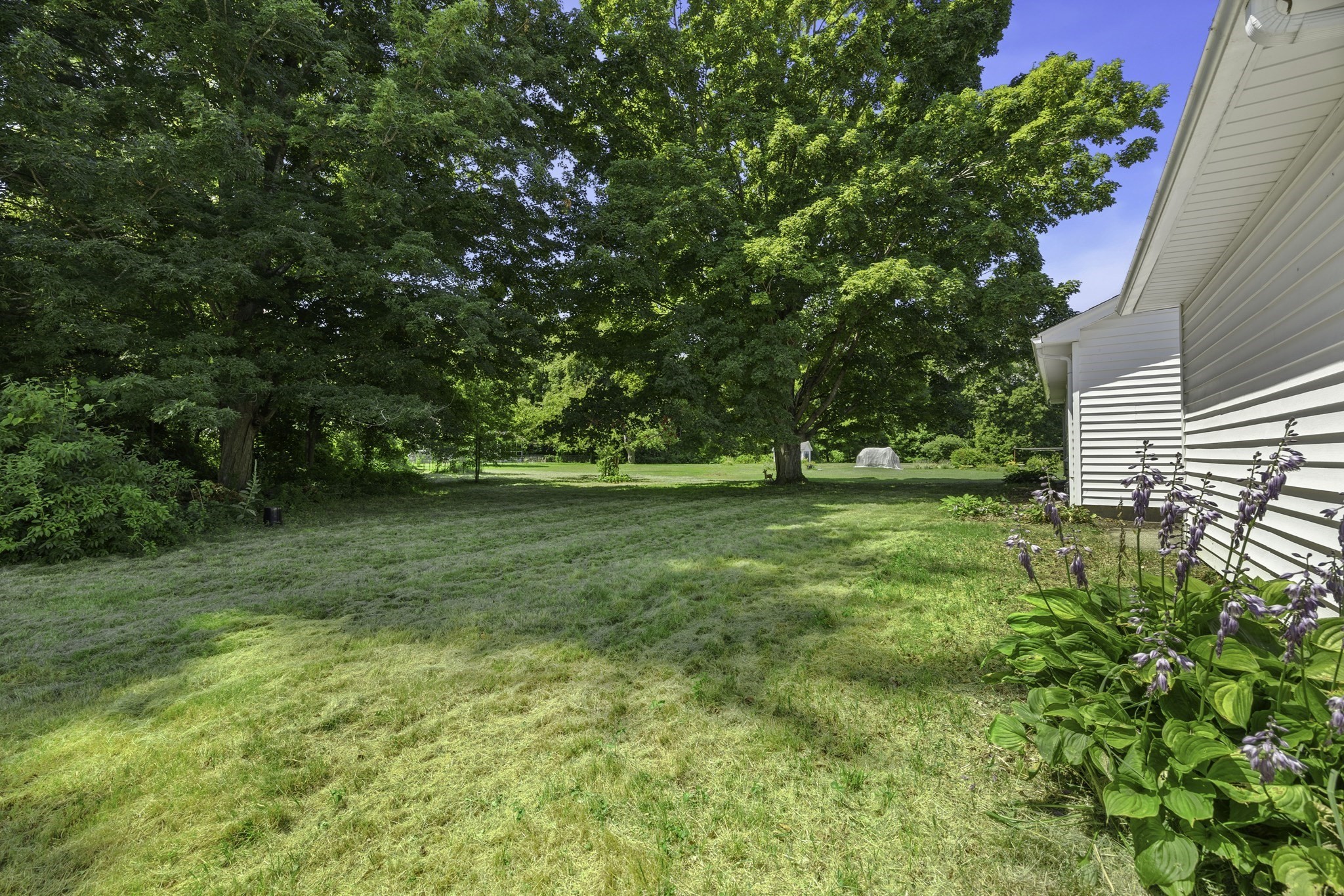 140 Everett St Property Photo 25
