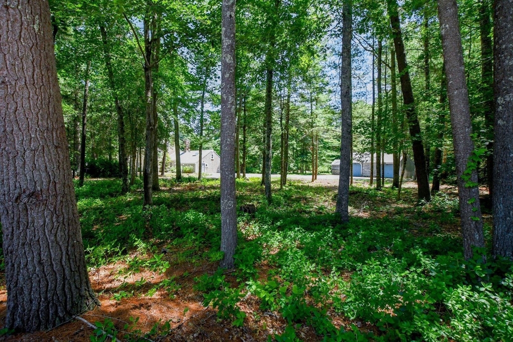 62 Olde Knoll Road Property Photo 35