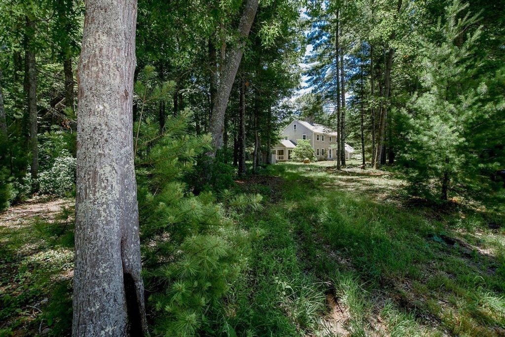 62 Olde Knoll Road Property Photo 38