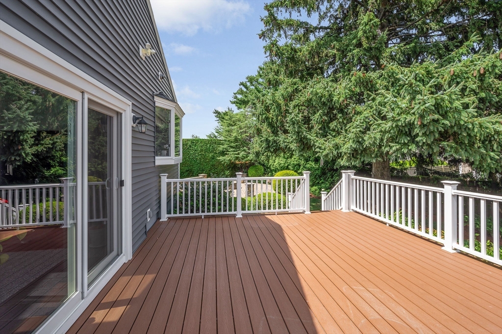 35 Roland Road Property Photo 29