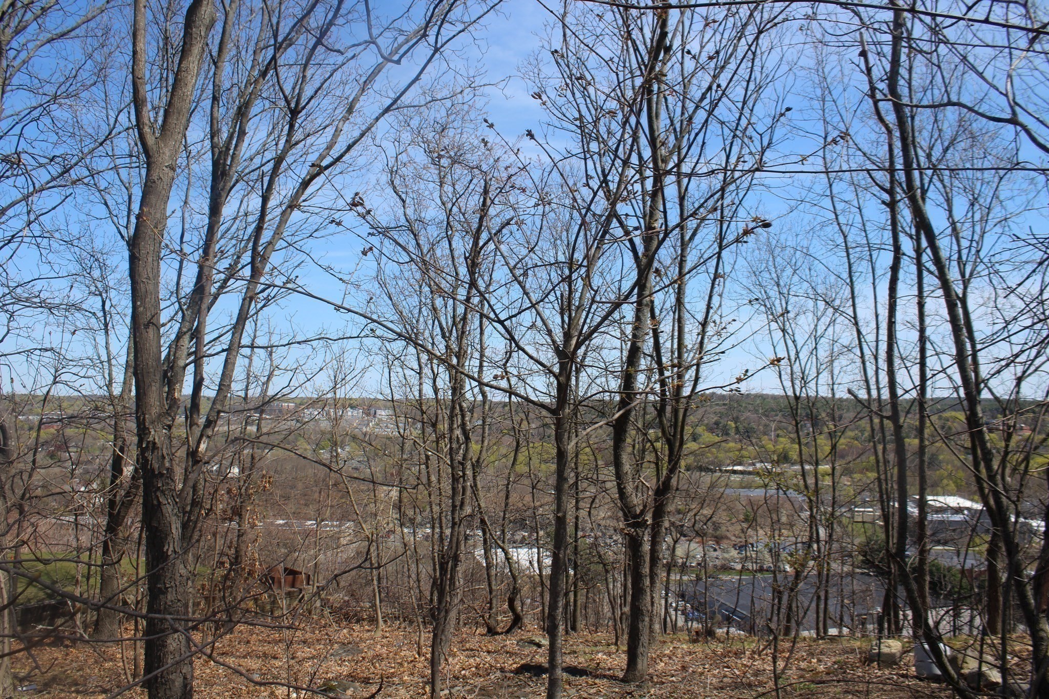 11 Skyview Lane Property Photo 14