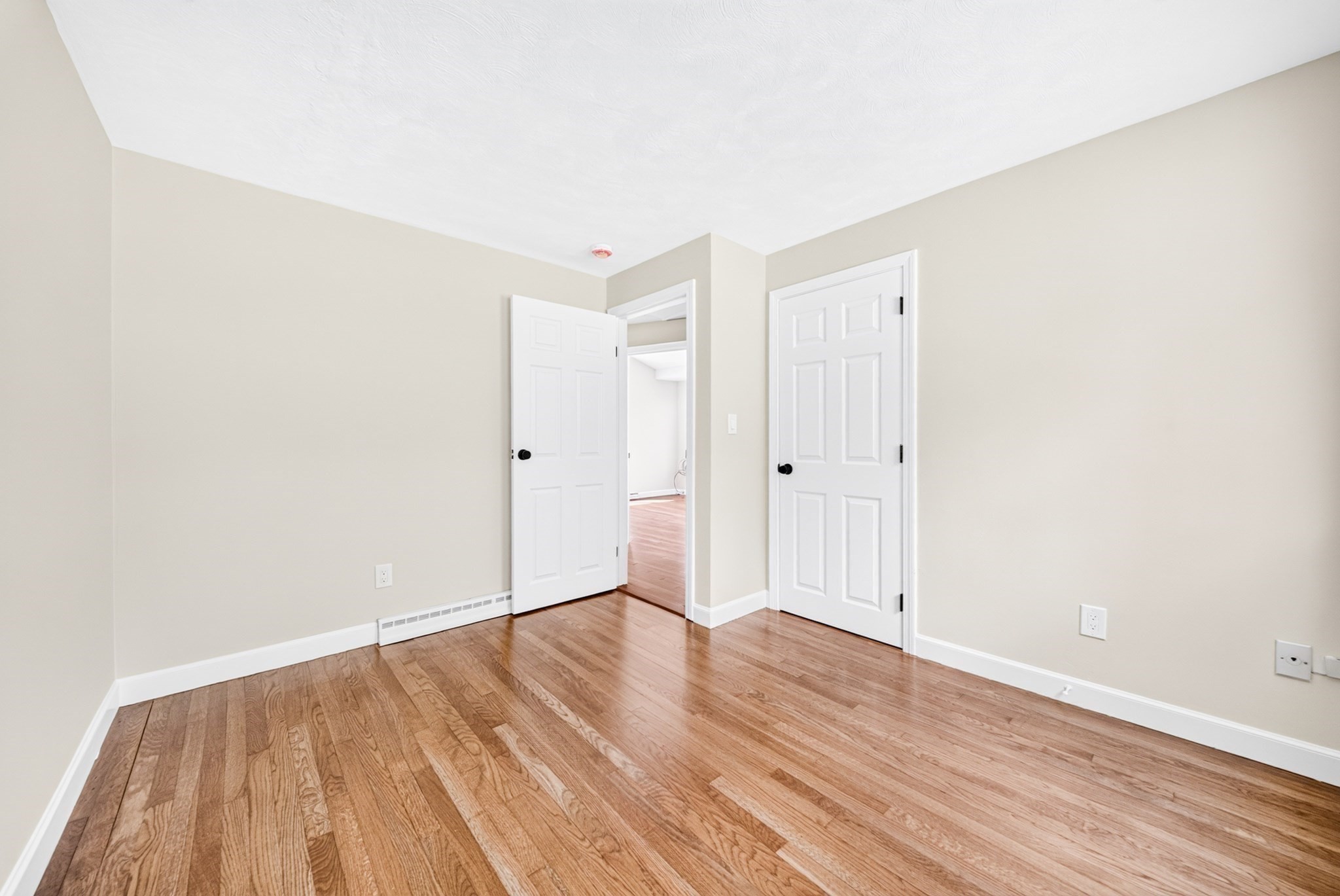 14 Clarence Street Property Photo 22