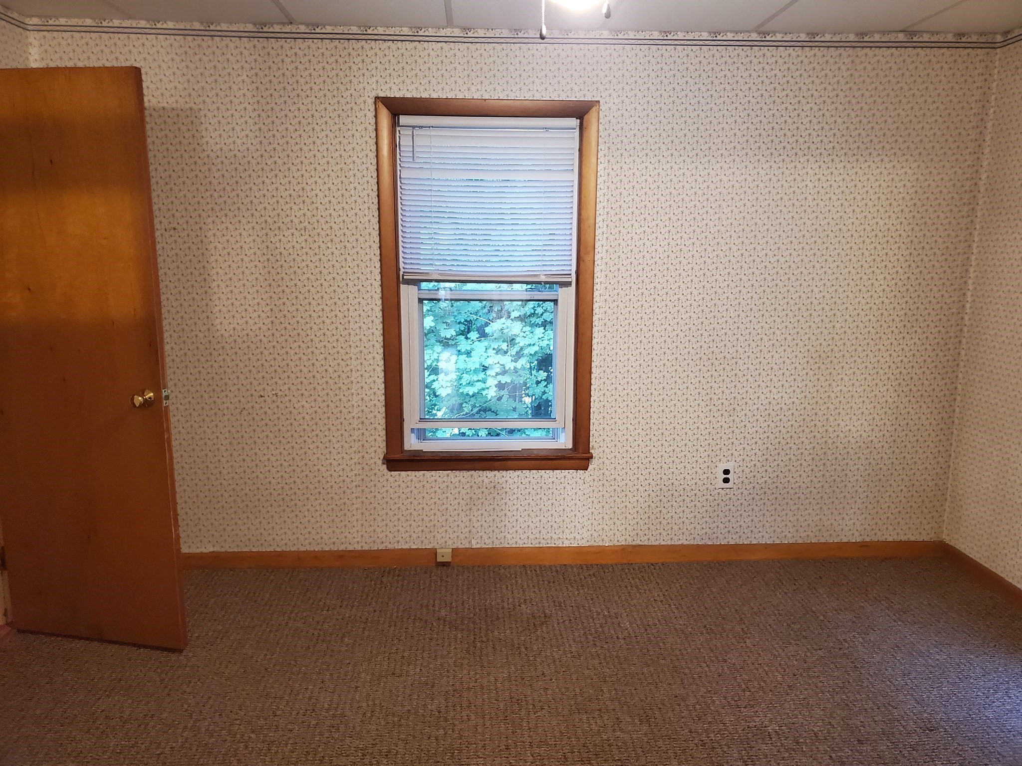56 Ash St Property Photo 7