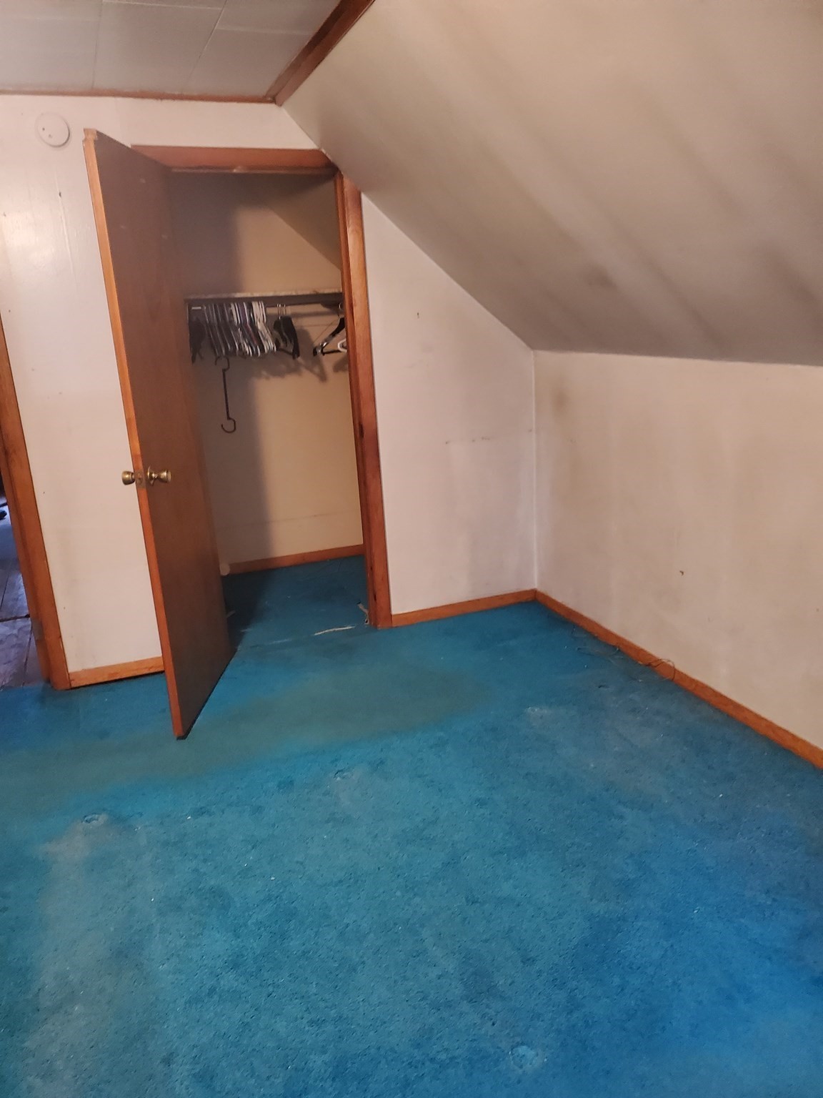 56 Ash St Property Photo 18