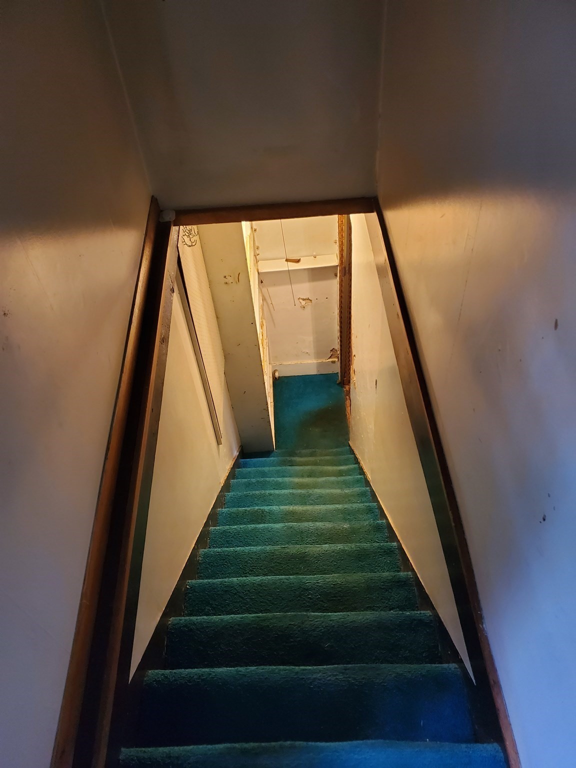 56 Ash St Property Photo 19