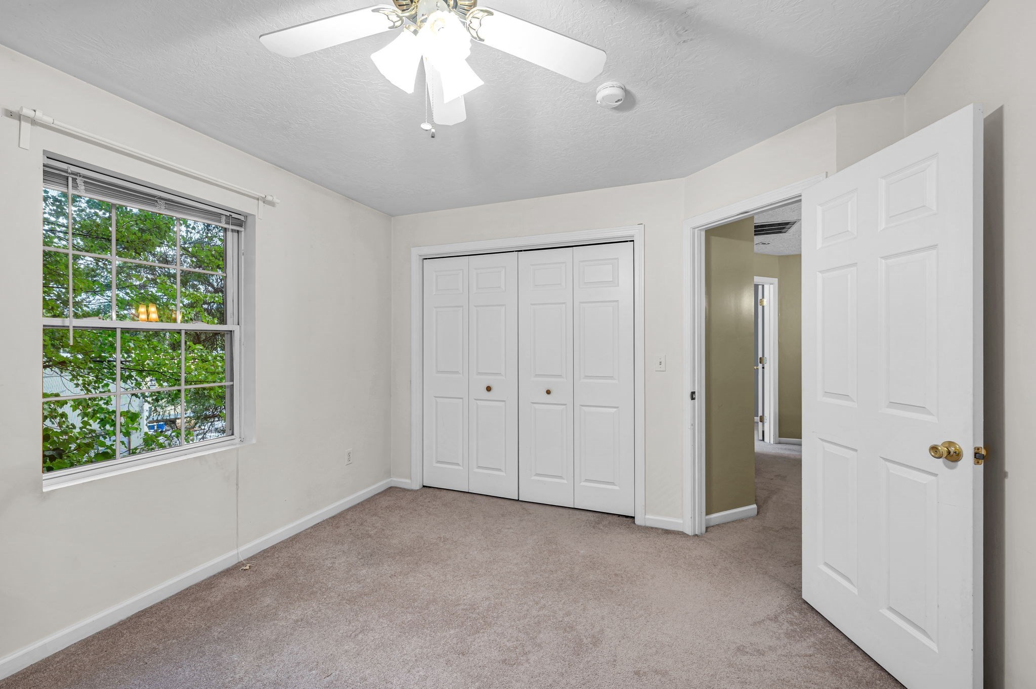 56 Montville St # 56 Property Photo 19