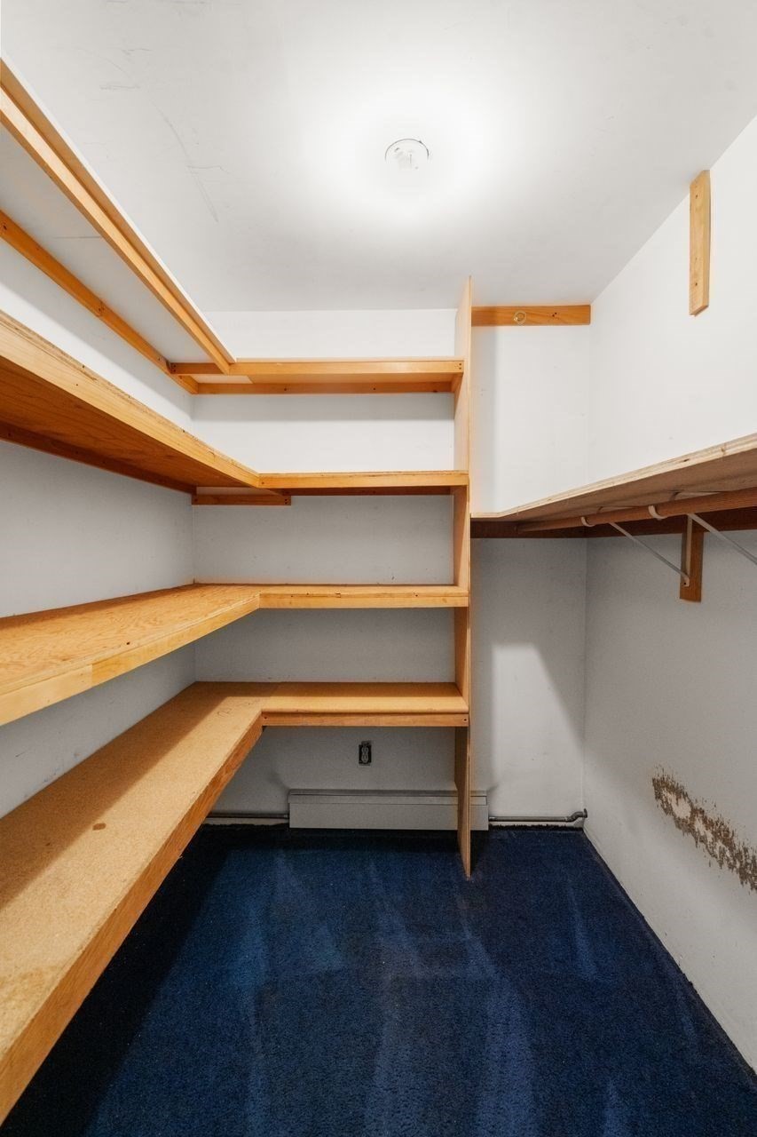 10 Willard St Property Photo 22