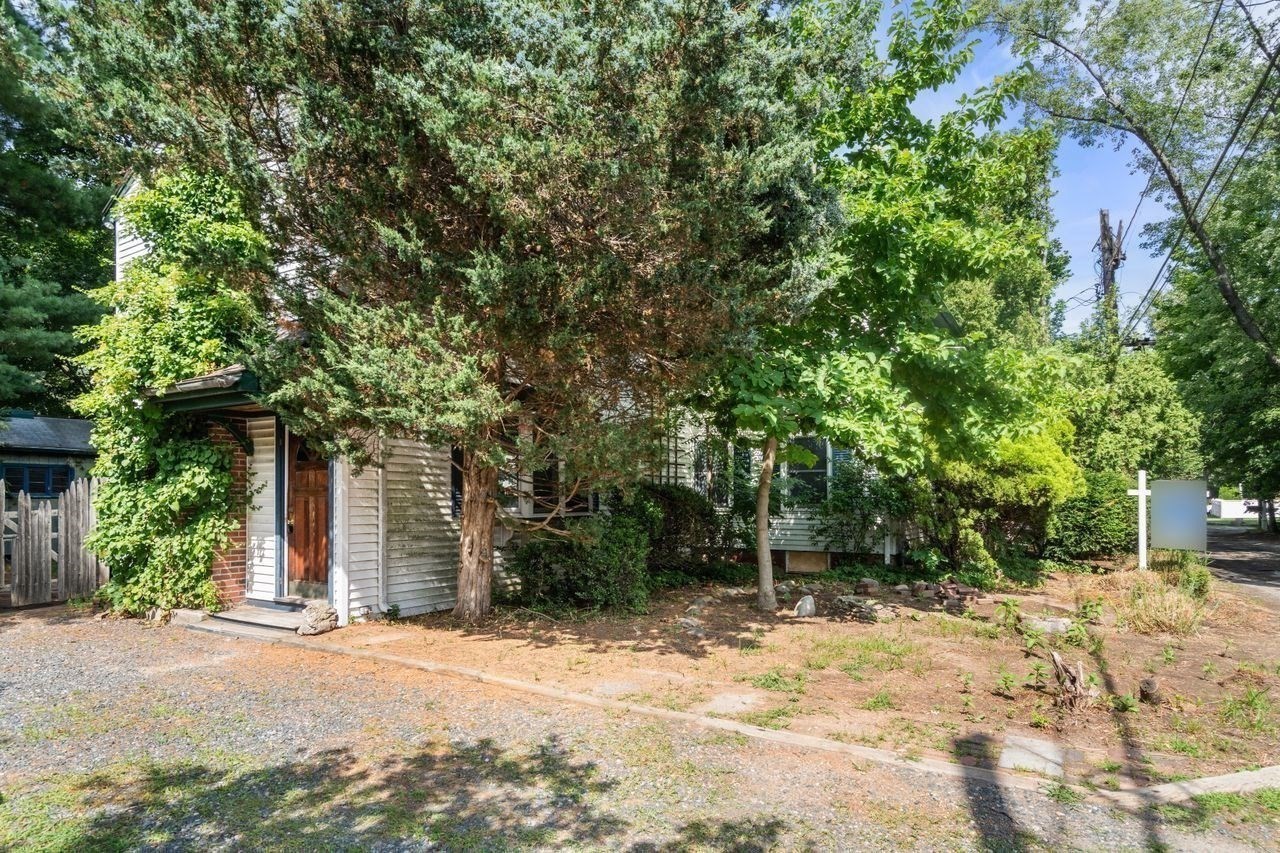 10 Willard St Property Photo 33