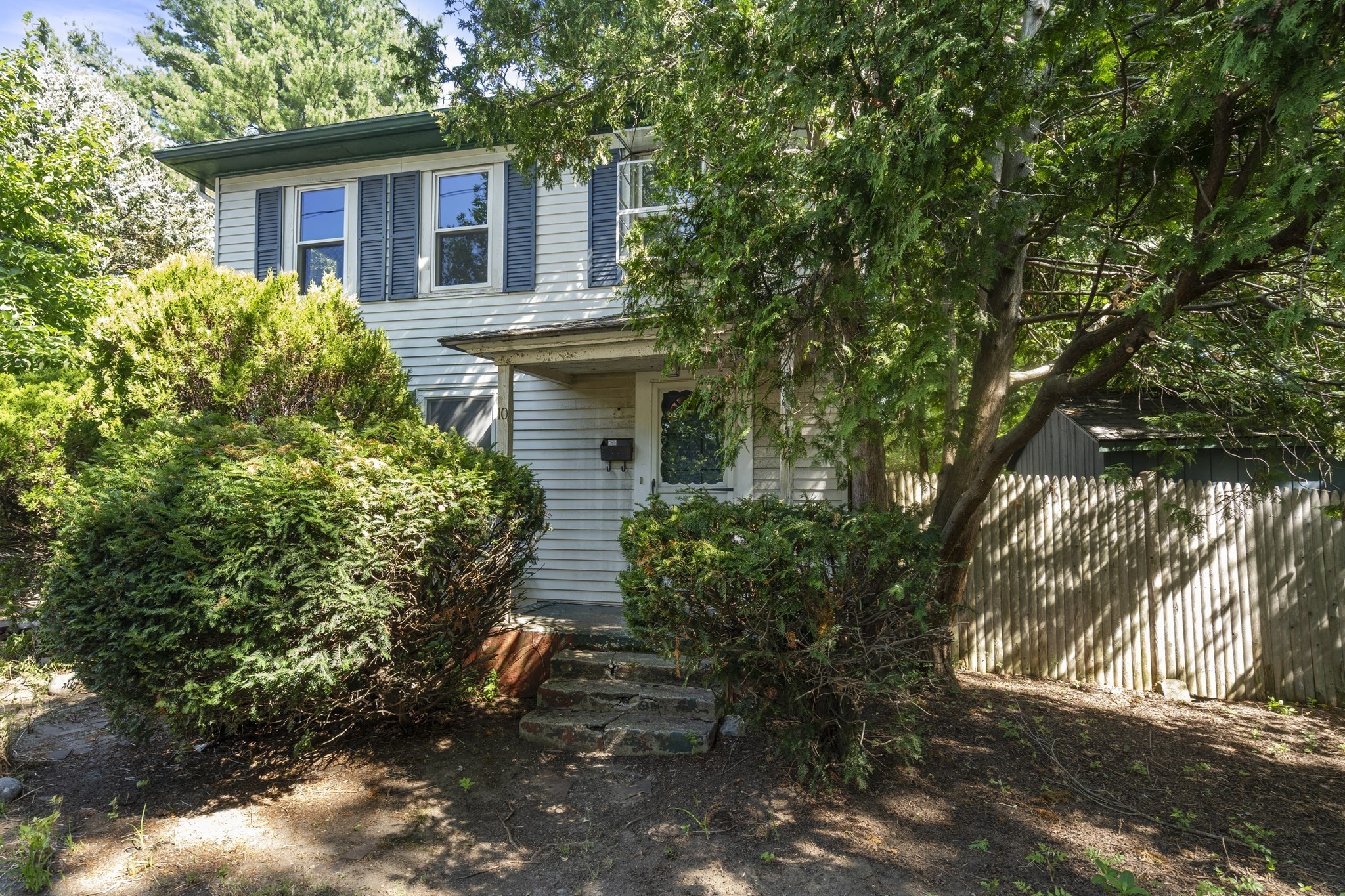 10 Willard St Property Photo 34