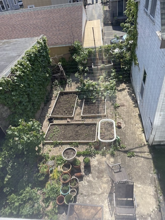 9 Dartmouth St Property Photo 35
