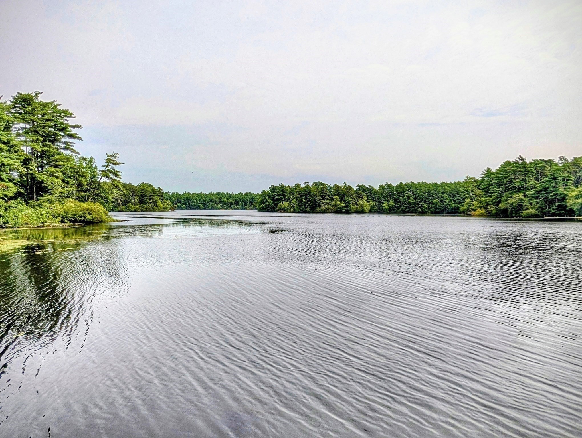 10 Pond Edge Trl Property Photo 8