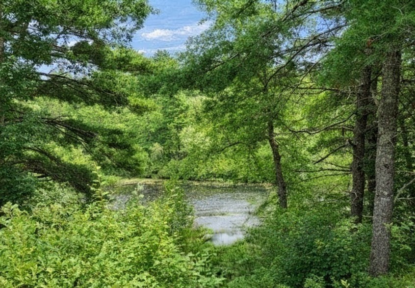 10 Pond Edge Trl Property Photo 36