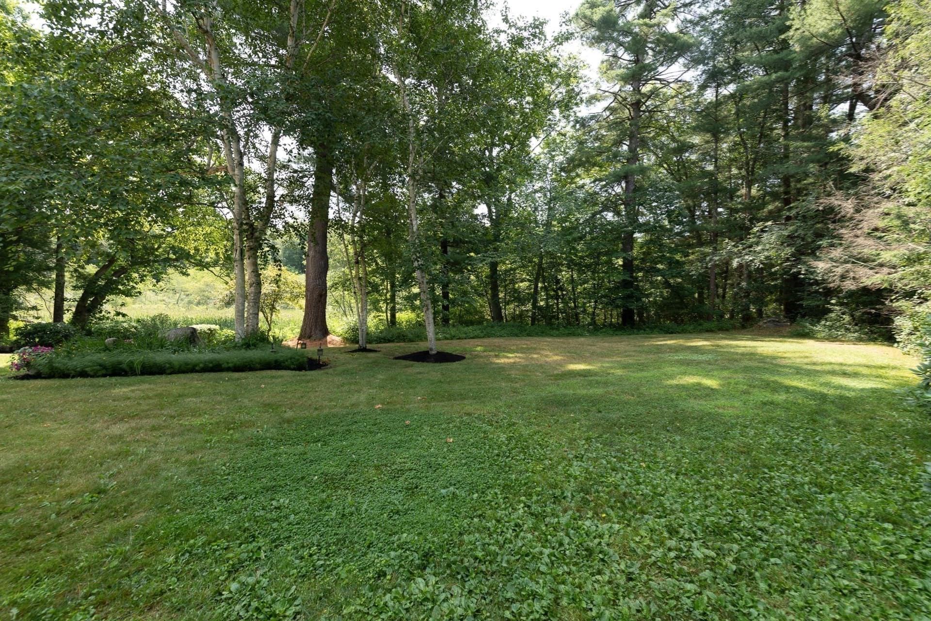 46 Black Burnian Road Property Photo 39