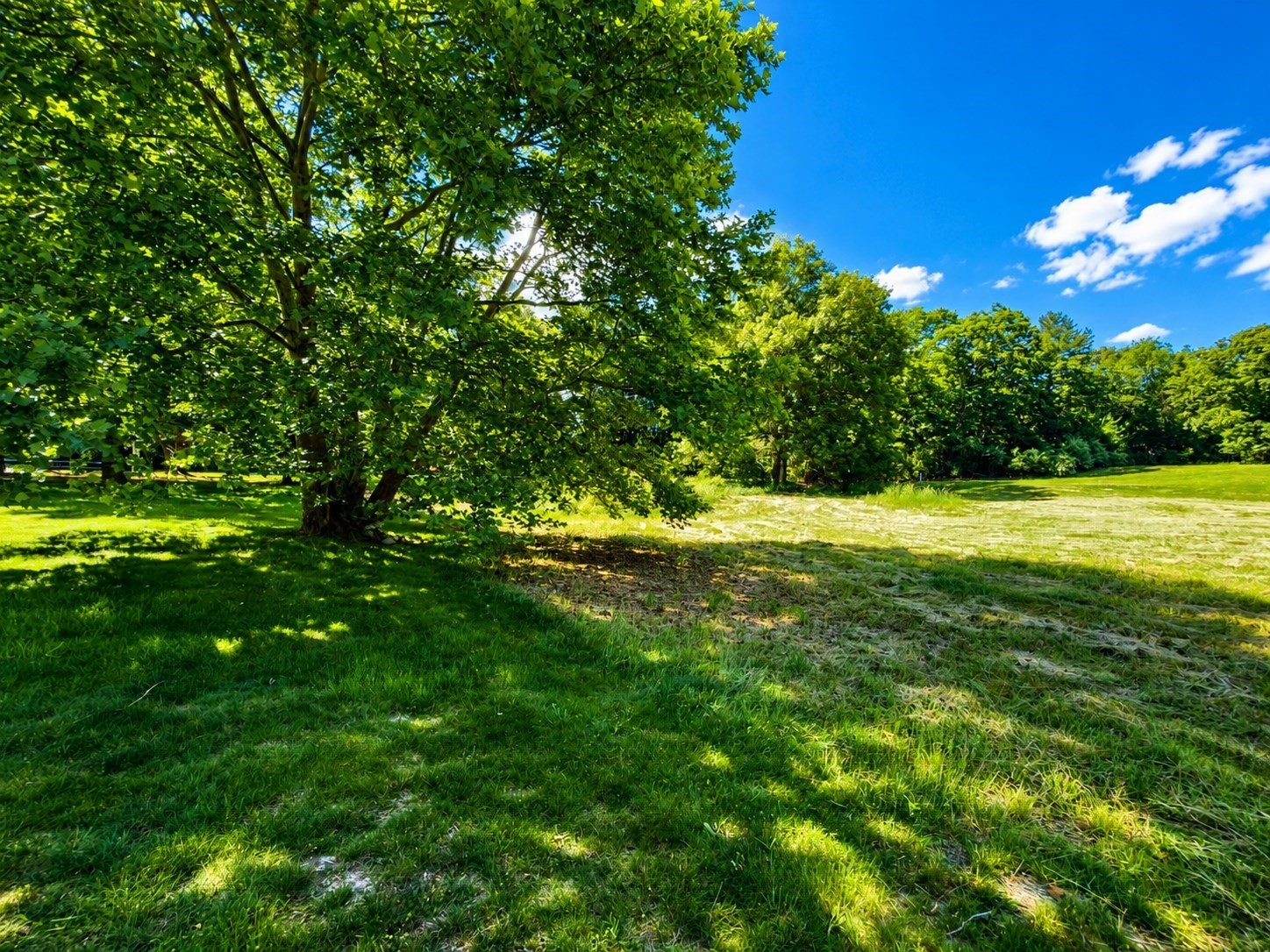 15 Fiske Pond Rd Property Photo 4