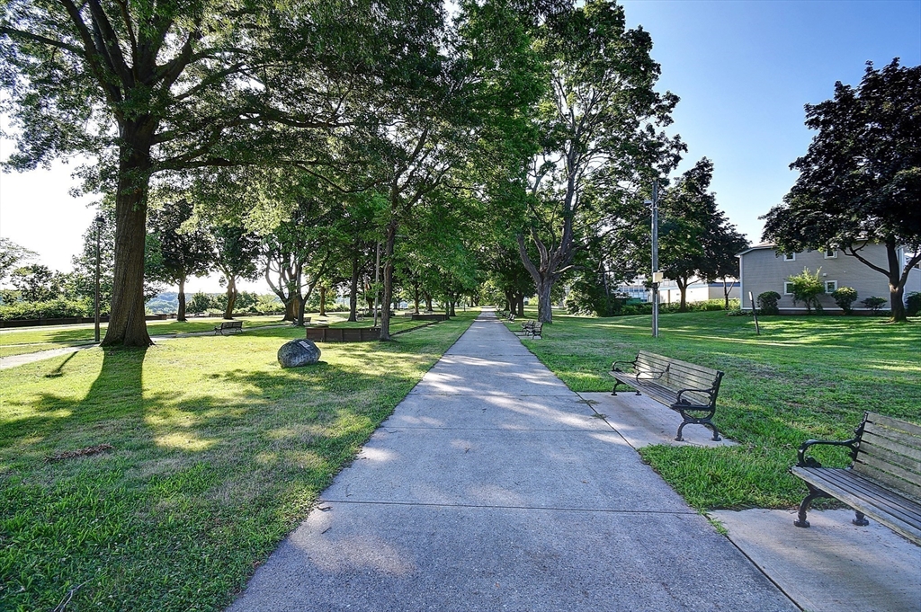 14 Arbor Way # B Property Photo 19