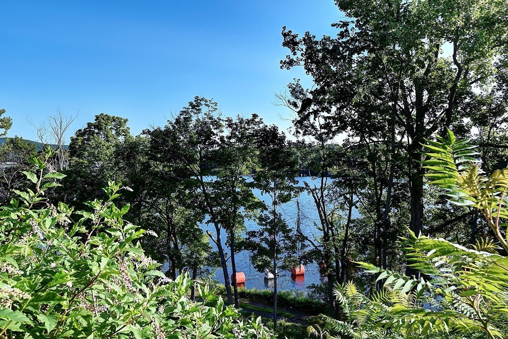 14 Arbor Way # B Property Photo 21