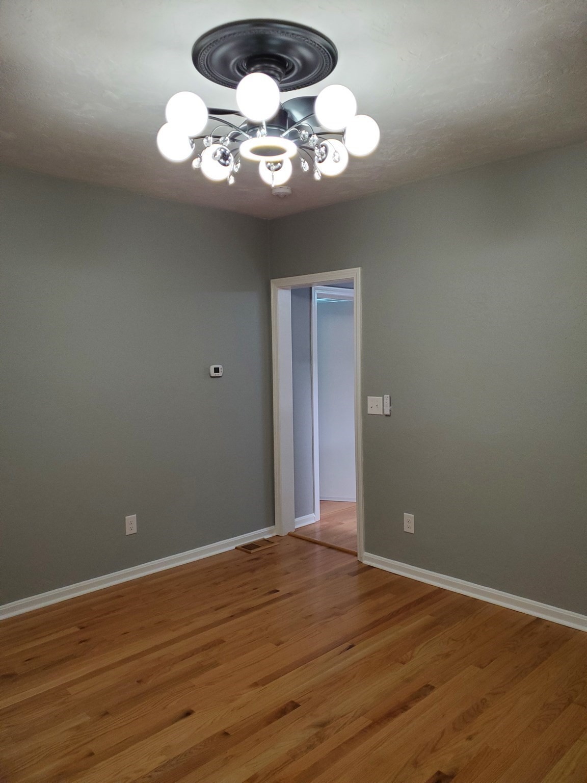 31 Esther St Property Photo 10