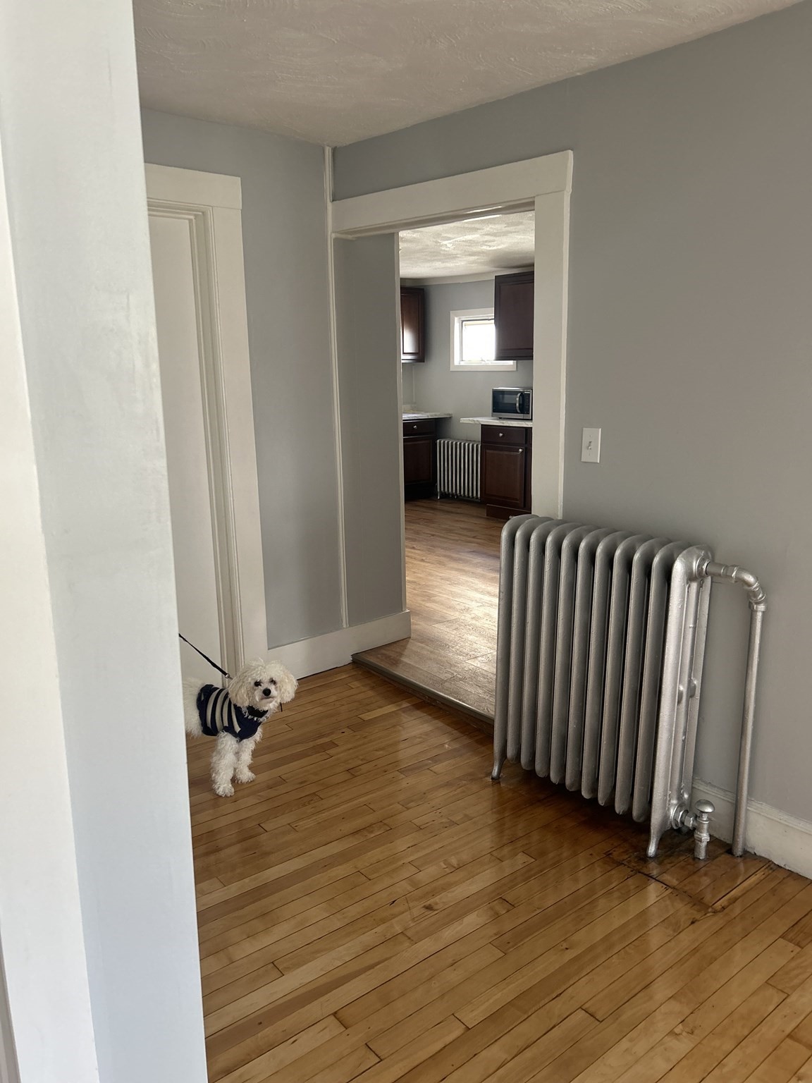 52 Chestnut St # 2 Property Photo 18