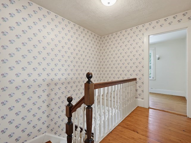 57 Bancroft Park Property Photo 19