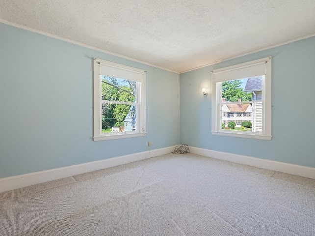57 Bancroft Park Property Photo 24