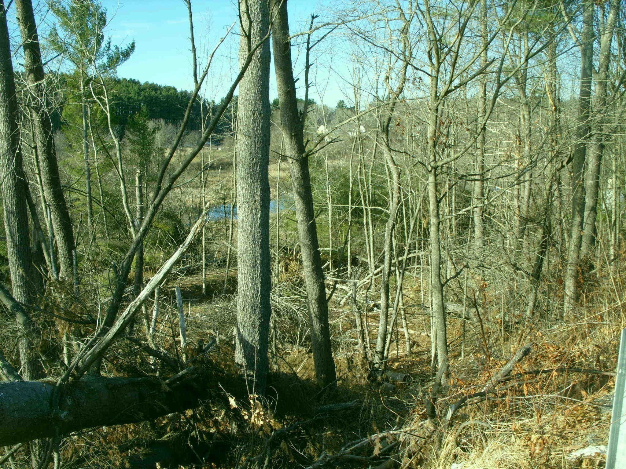 235 Main Street Property Photo 1