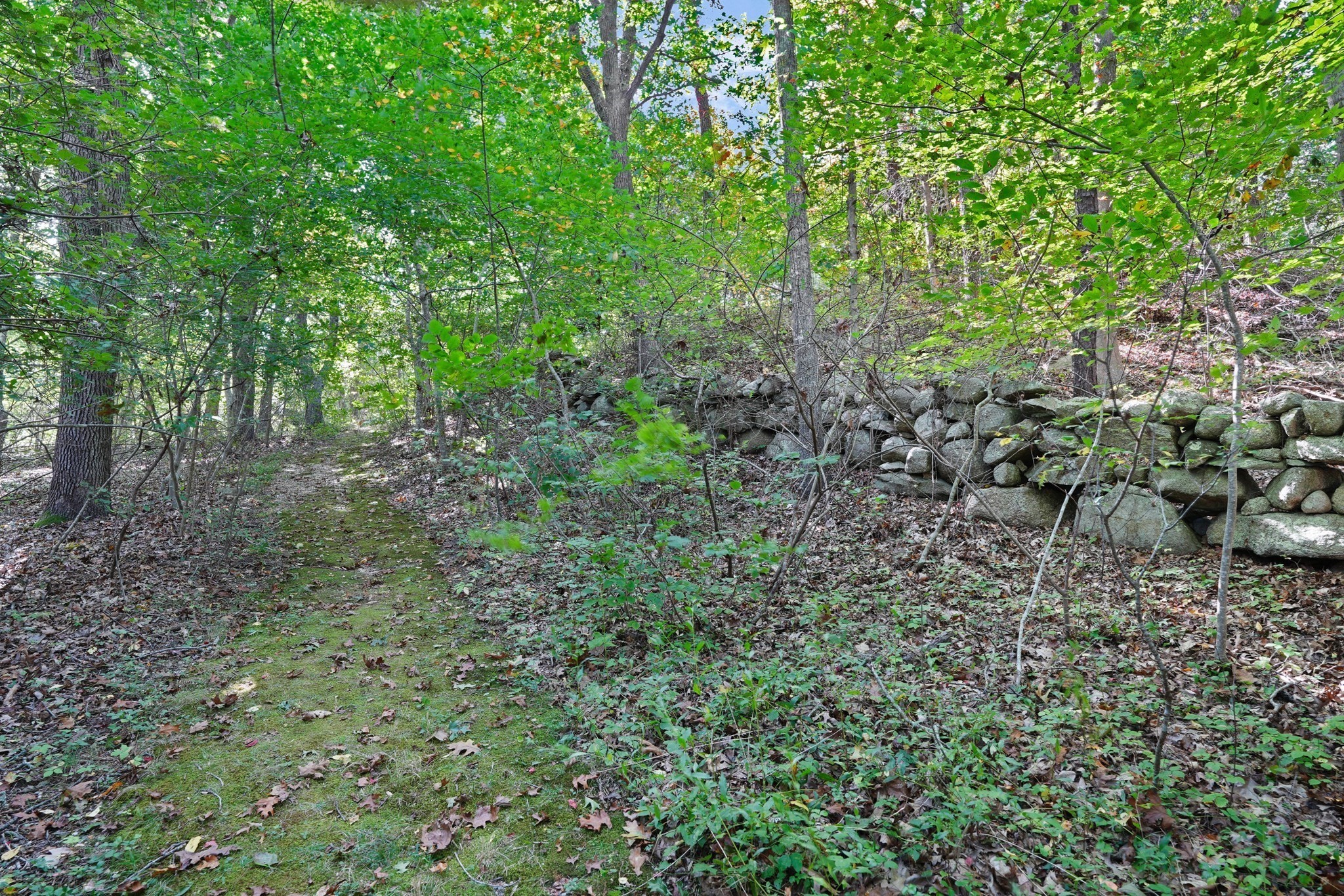 21 & 25 Fulling Mill Road Property Photo 28