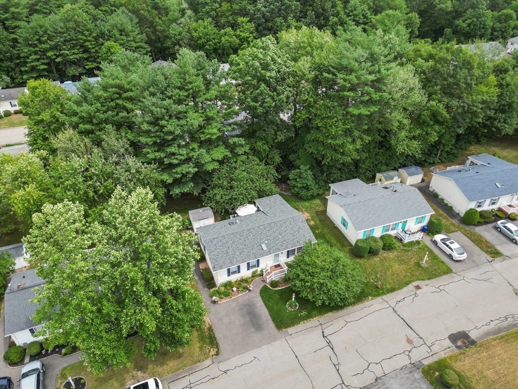 21 Trailwood Dr. Property Photo 3