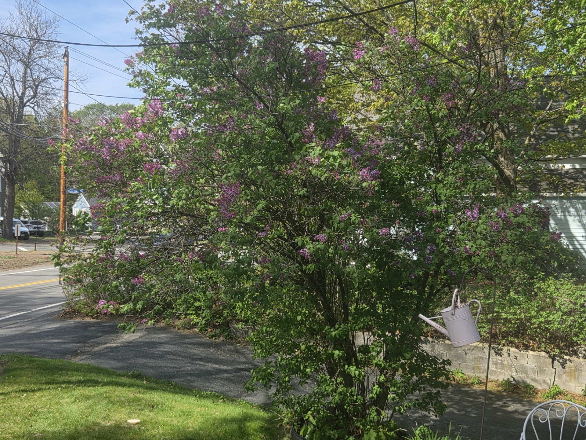 242 Pleasant Street Property Photo 29