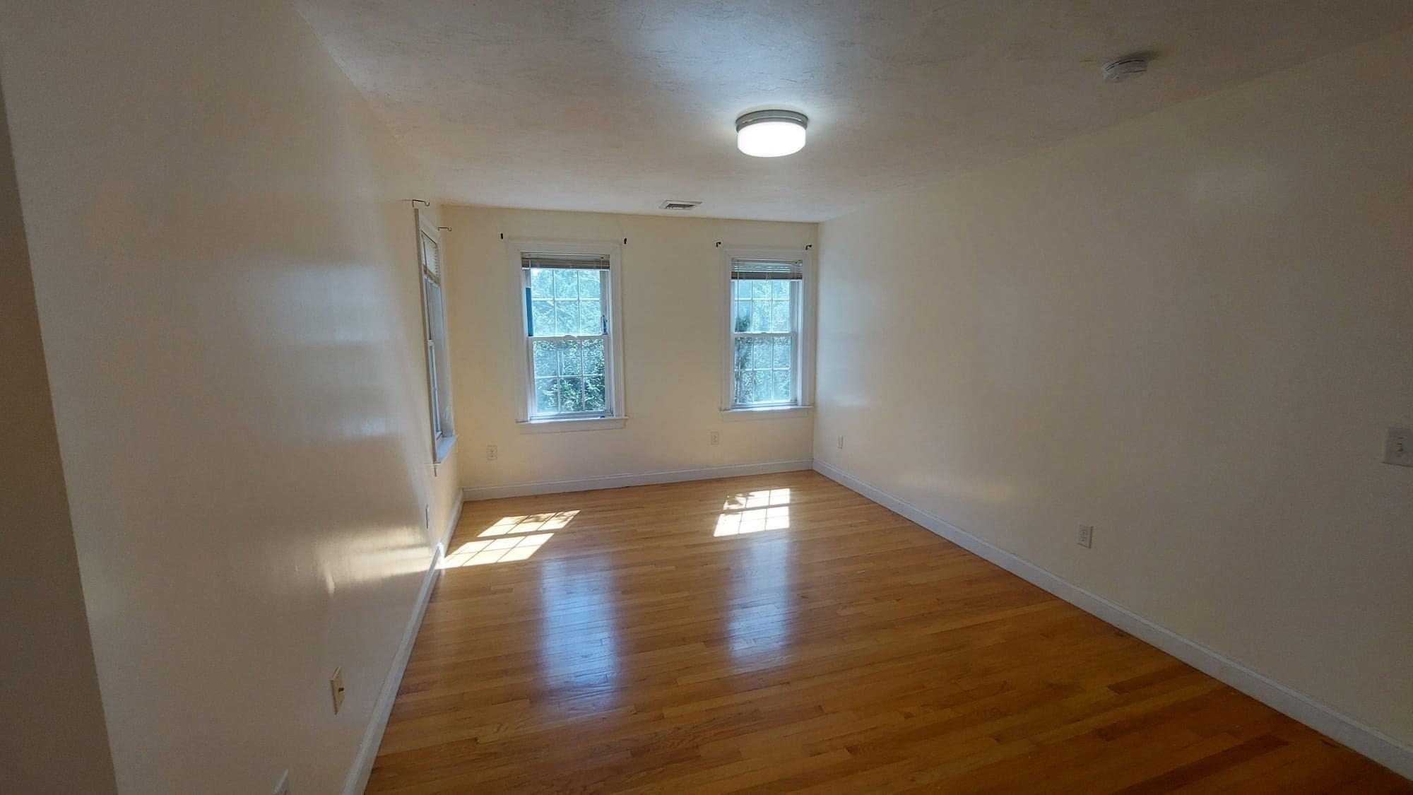 339 Poplar St. Property Photo 12