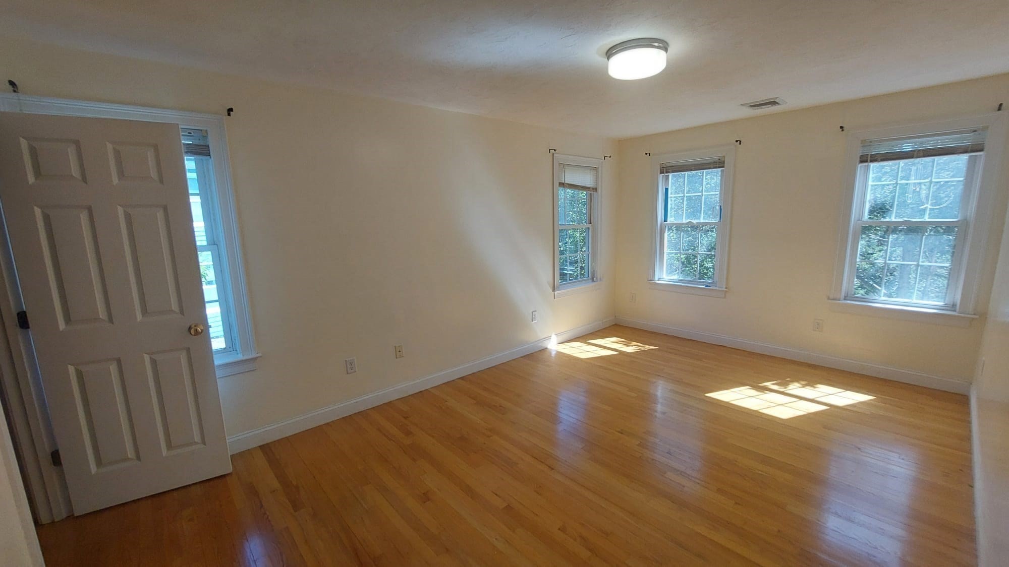 339 Poplar St. Property Photo 15