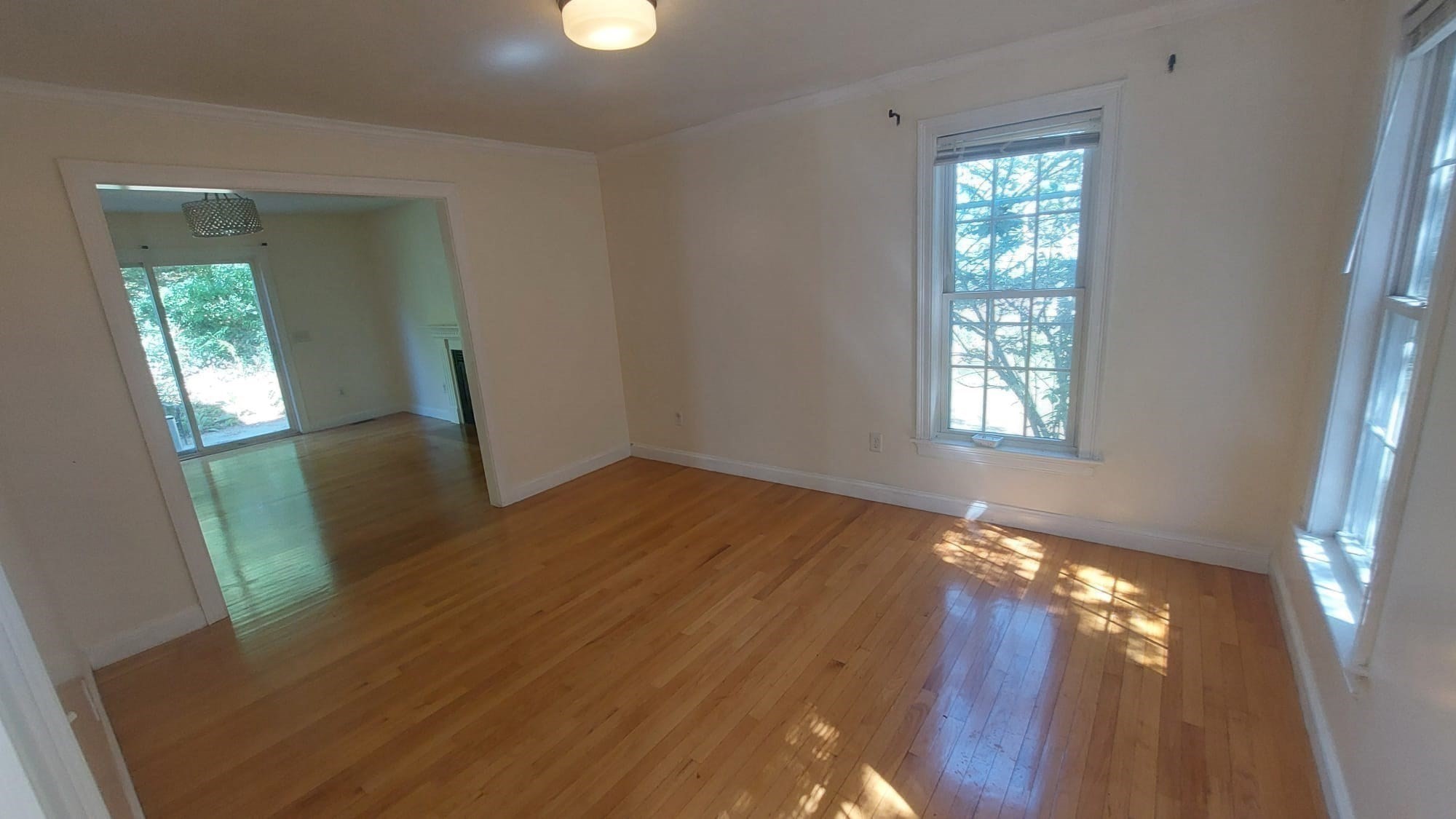 339 Poplar St. Property Photo 17
