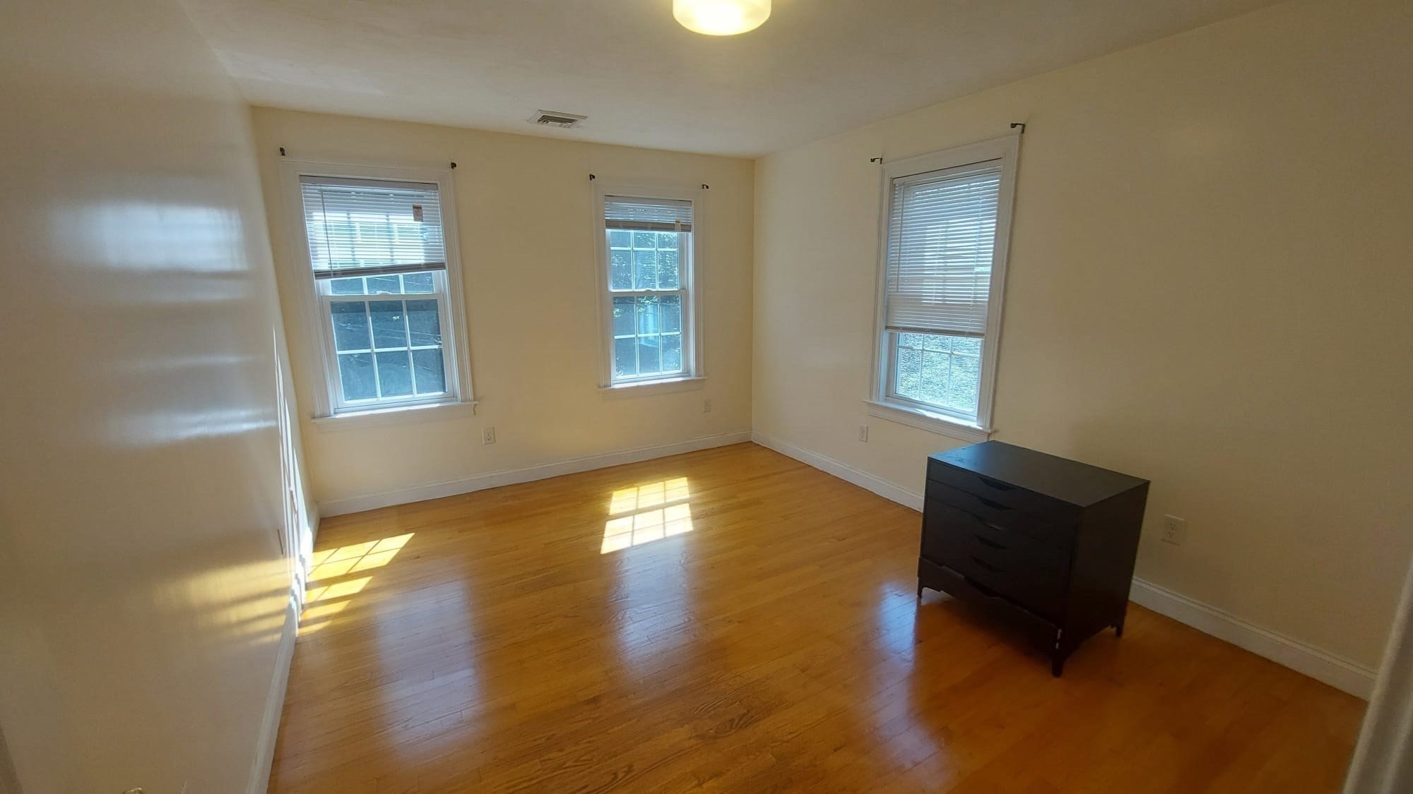 339 Poplar St. Property Photo 18