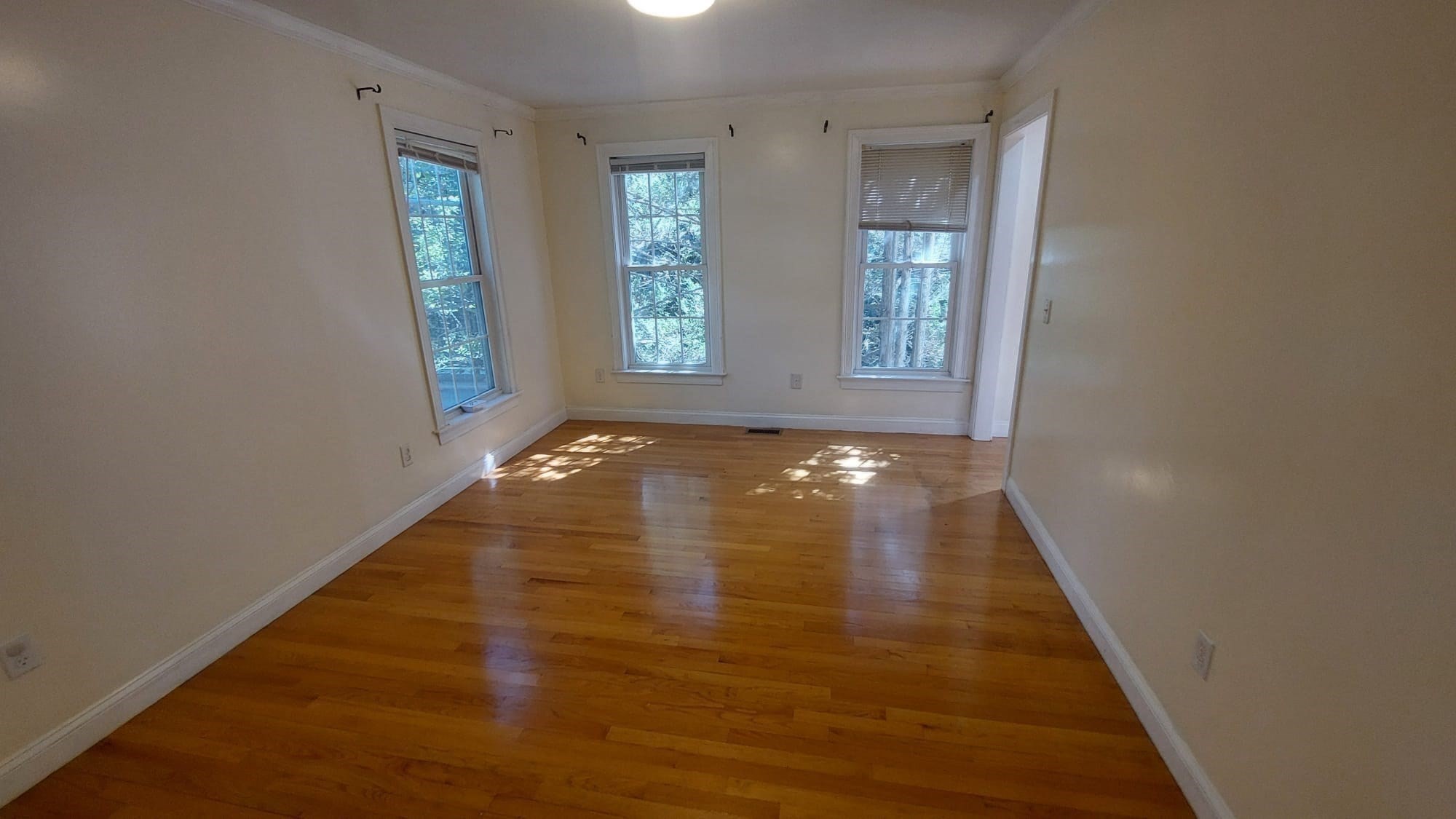 339 Poplar St. Property Photo 22
