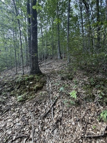 00 Zoar Rd Property Photo 6