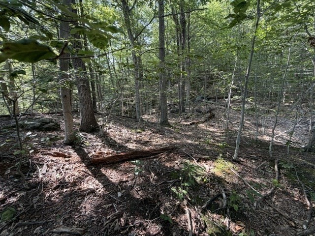 00 Zoar Rd Property Photo 7