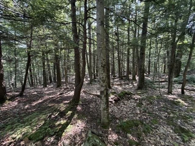 00 Zoar Rd Property Photo 8