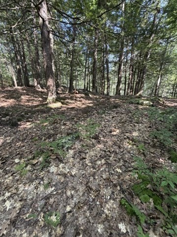 00 Zoar Rd Property Photo 9