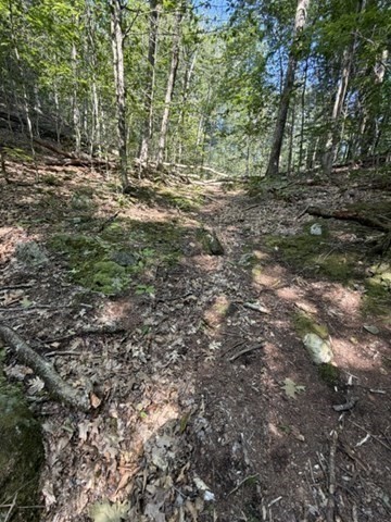 00 Zoar Rd Property Photo 10