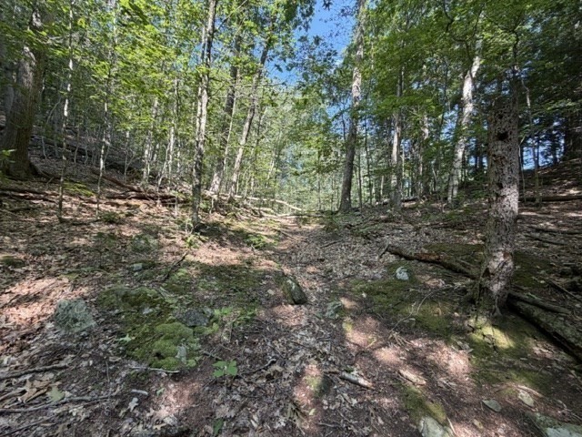 00 Zoar Rd Property Photo 11