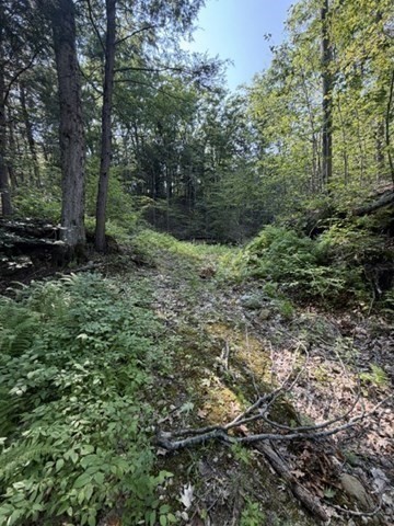 00 Zoar Rd Property Photo 14