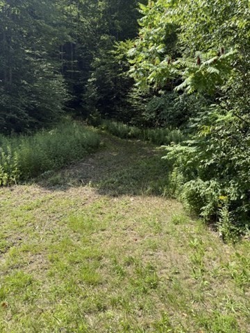 00 Zoar Rd Property Photo 16