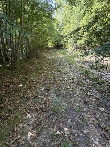 00 Zoar Rd Property Photo 21