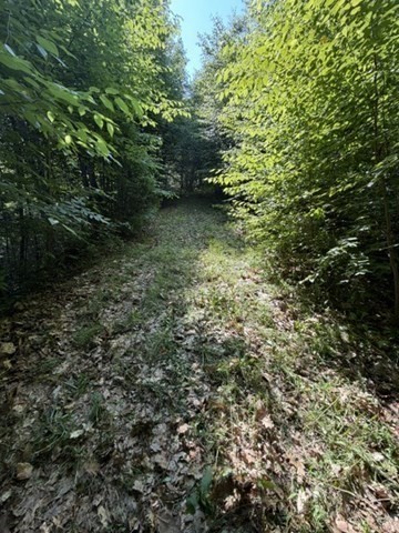 00 Zoar Rd Property Photo 22