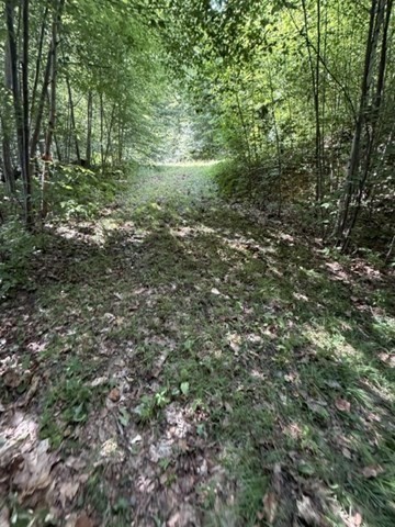 00 Zoar Rd Property Photo 23
