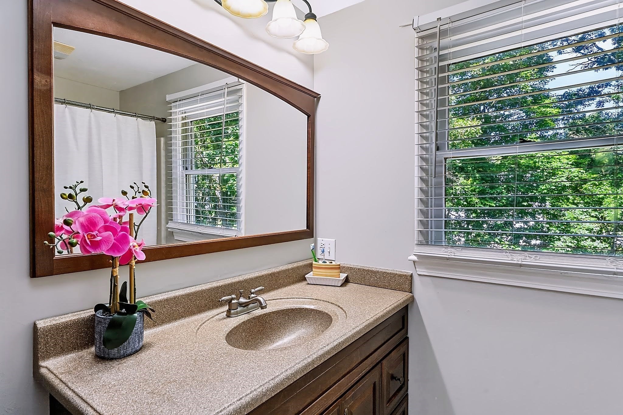 6 Forest Street Property Photo 17