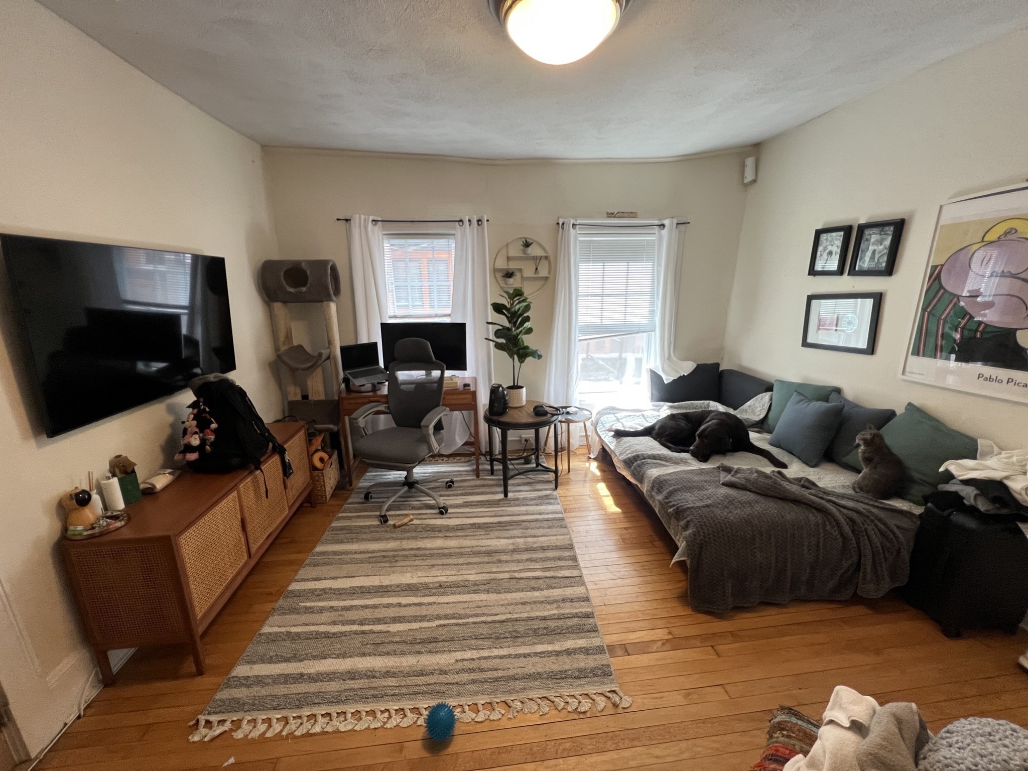 15 Cooper Street Property Photo 11