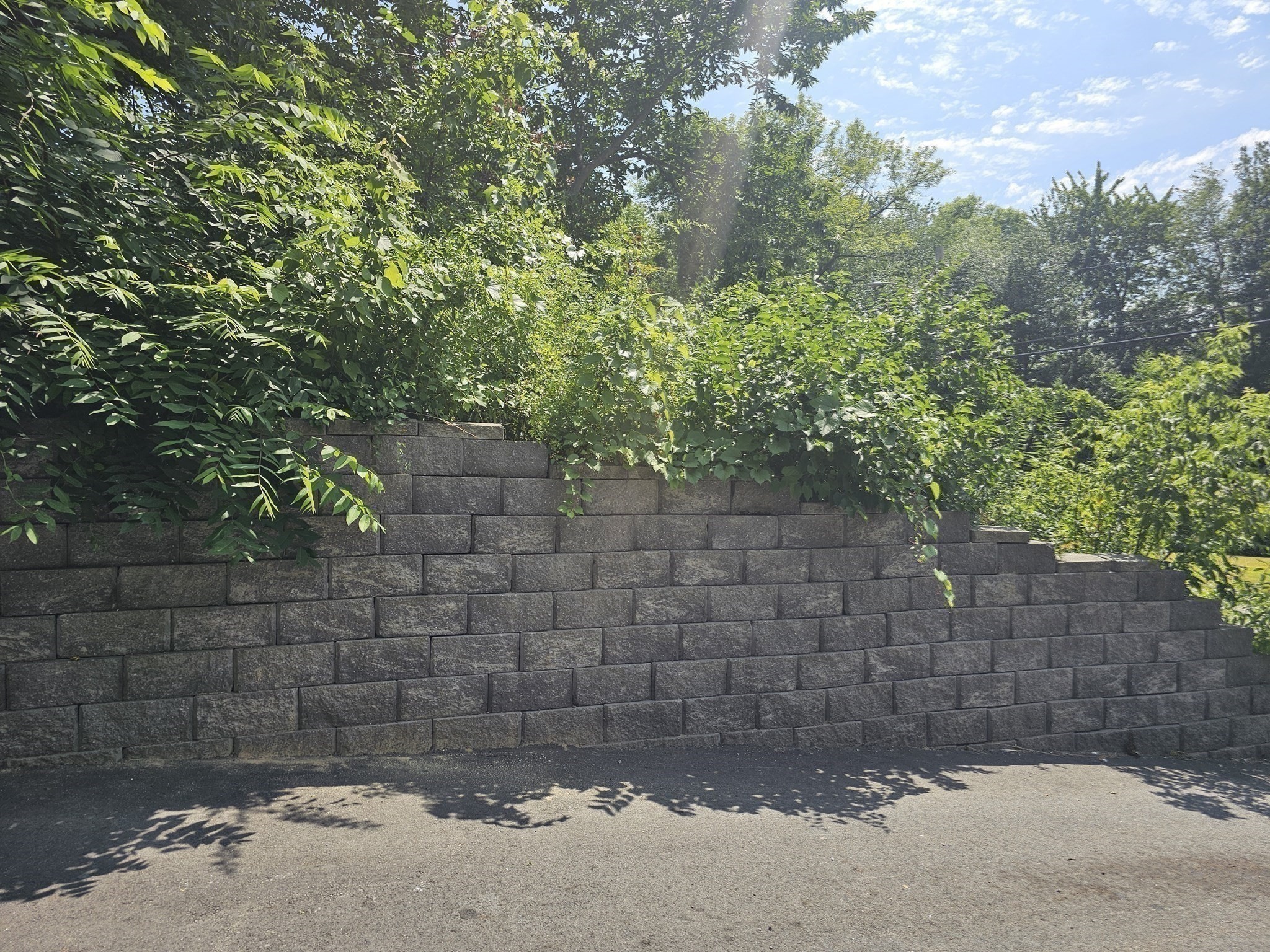 85 Lexington Ave Property Photo 30